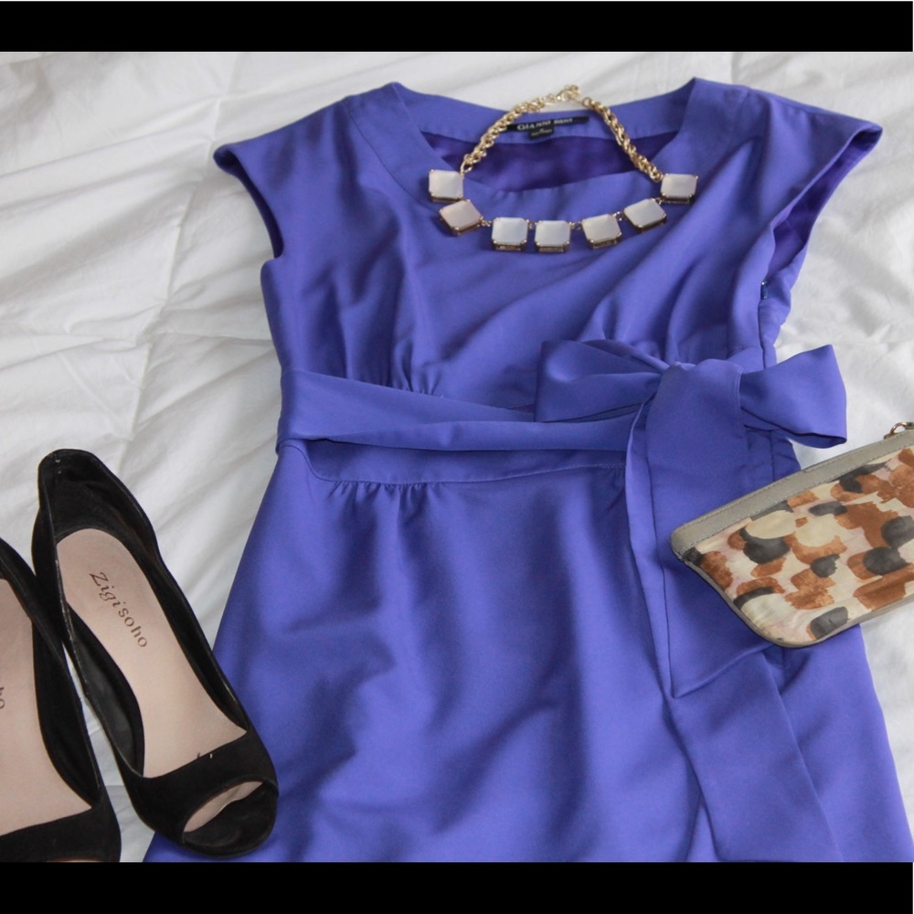 Romantic Iris Colored Sheath Dress
